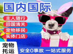 恩施许家坪机场快递国际宠物托运 【国